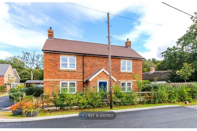 Thumbnail Detached house to rent in Sika Rise, Bransgore, Christchurch