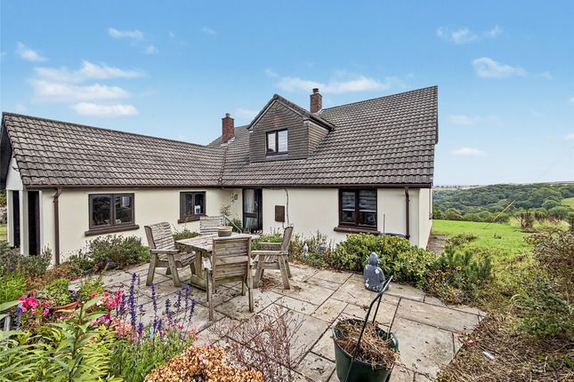 South Hill Farm,, Little Torrington, Devon photo 4
