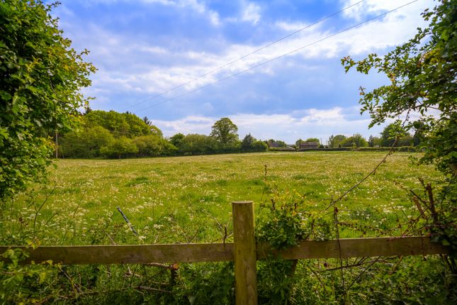 Countryside Views