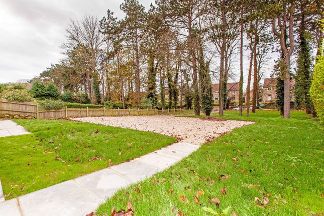 The Bungalow, Limes Avenue, Nether Langwith photo 4
