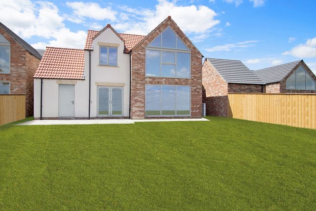 Plot8Rear