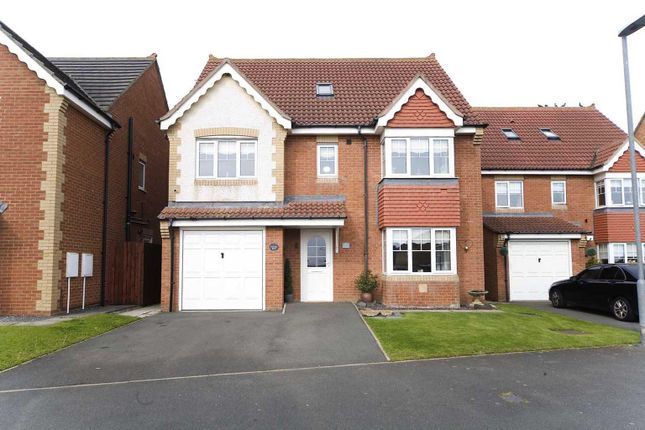 Thumbnail Detached house for sale in Primrose Road, Hartlepool