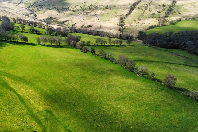 Lot 2: Cwmpadest Farm,, Crai, Powys photo 3