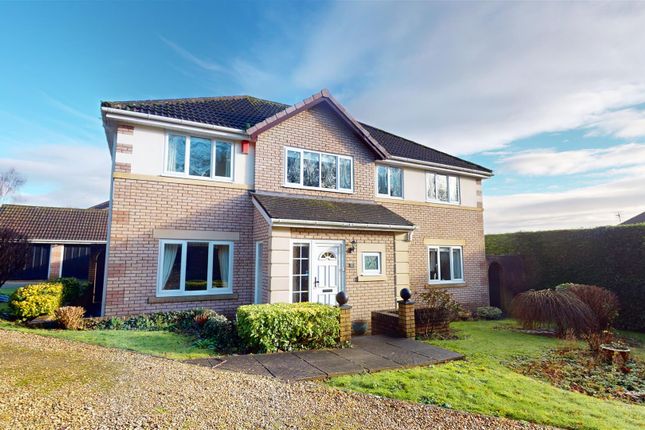 Thumbnail Detached house for sale in Is Y Coed, Wenvoe, Cardiff