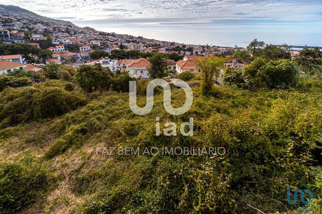 Thumbnail Land for sale in Imaculado Coração Maria, Funchal, Portugal