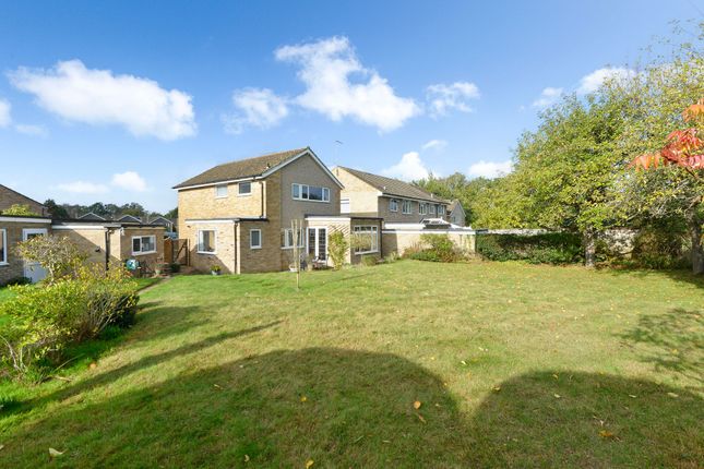 14 Seltops Close, Cranleigh photo 3