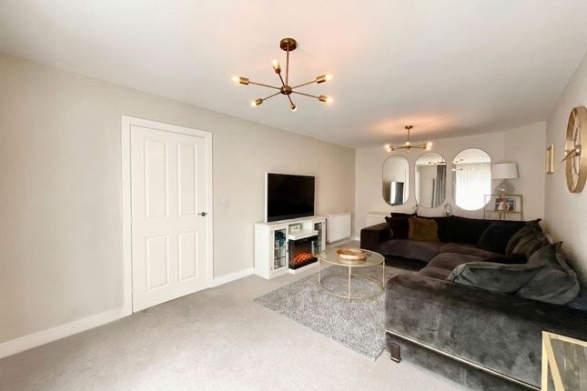 45 Clydesdale Avenue, Newcastle photo 3