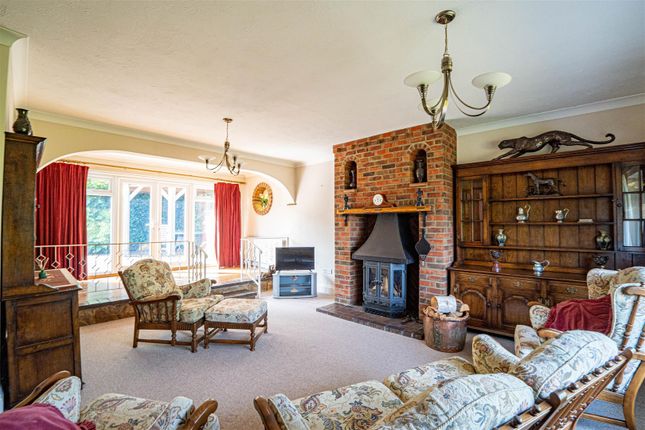 Beechwood, Chowns Hill, Hastings photo 4