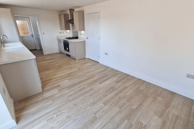 Plot 204 The Kelsham, Belfry Way, Ripley photo 3