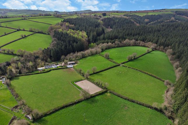 Detached house for sale in Buckfastleigh