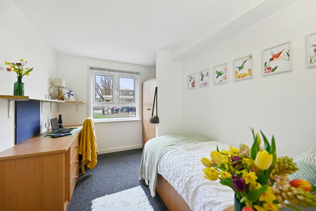 Thumbnail Room to rent in Bavaria Road, London