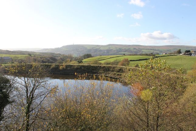 View From Living Room
