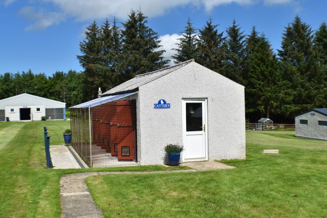Commercial Property For Sale In Garromuir Kennels Cattery