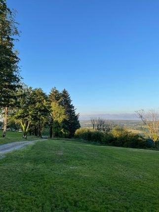 Private Road With Views Of Brechfa Forest