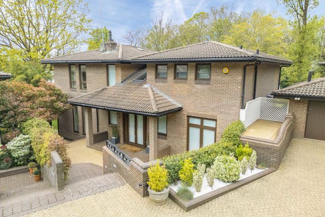 Thumbnail Detached house for sale in Highfields Grove, London