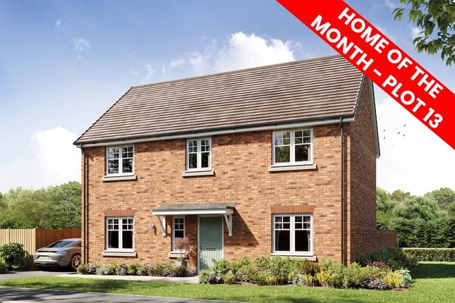 Thumbnail Detached house for sale in "The Cliveden" at Greenfields Lane, Market Drayton
