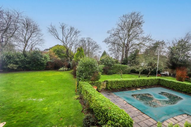 Rose Cottage, Stunts Green, Herstmonceux photo 2