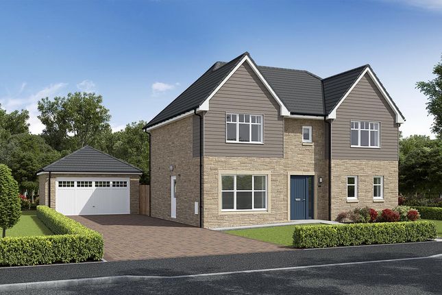 Thumbnail Detached house for sale in "Kingsley" at Hunter's Meadow, 2 Tipperwhy Road, Auchterarder
