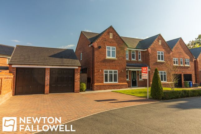 Thumbnail Detached house for sale in Bacopa Drive, Retford