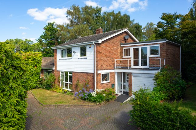 Thumbnail Detached house for sale in Birch Crescent, Ditton, Aylesford