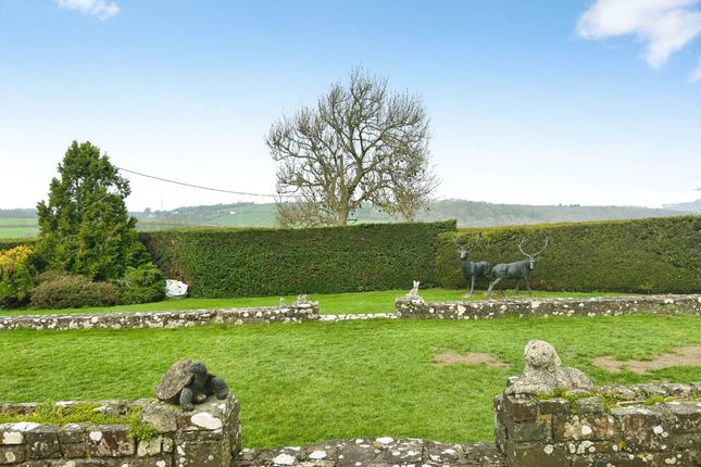 Collacott Farm,, Barnstaple photo 2