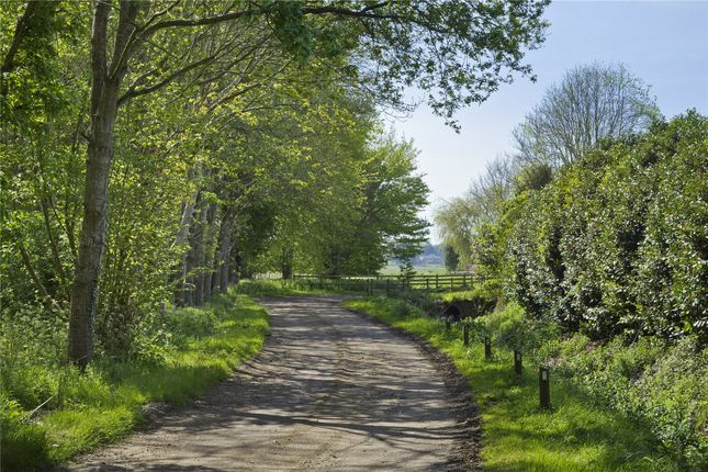 Thumbnail Land for sale in Reed Lane, Stanfield, Dereham, Norfolk