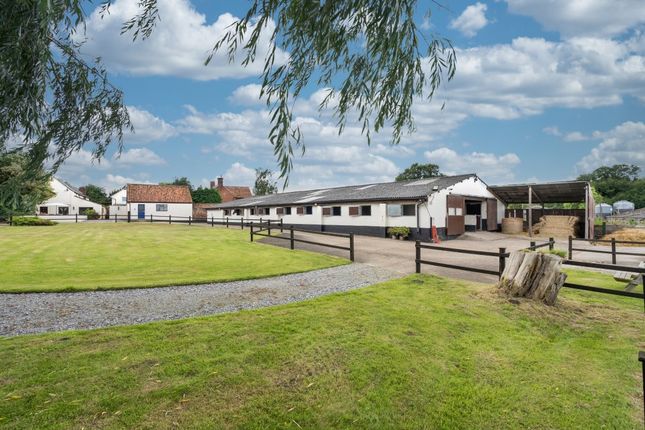 White House Farm, Hardley Road, Norwich photo 2