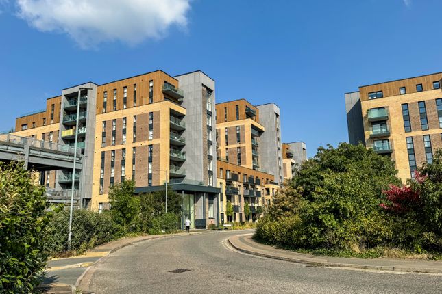 Thumbnail Flat to rent in Edinburgh Gate, Harlow