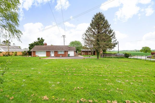 Thumbnail Detached bungalow for sale in Collington, Bromyard, Herefordshire