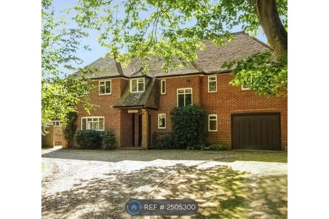 Thumbnail Detached house to rent in The Fairway, Godalming