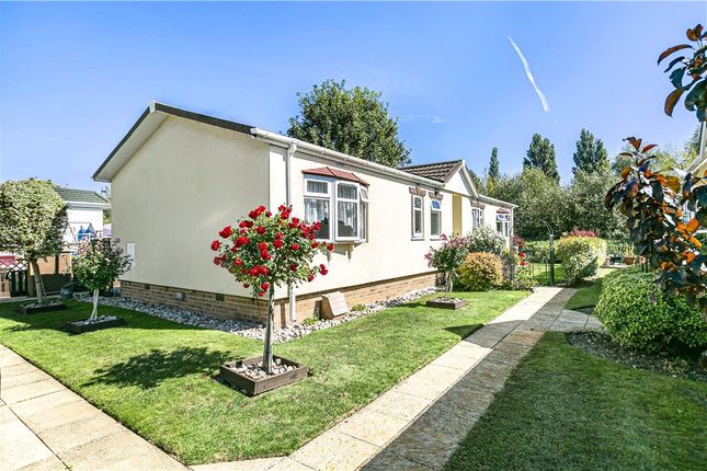 Thumbnail Bungalow for sale in Burway Crescent, Penton Park, Chertsey, Surrey