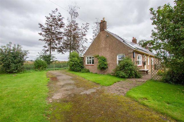 Thumbnail Cottage for sale in Barelees Farm Cottages, Cornhill-On-Tweed, Northumberland
