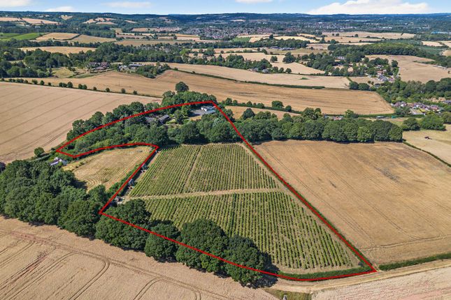Astley Vineyard,, Astley, Worcestershire photo 2
