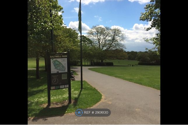 Saltwell View, Gateshead photo 4