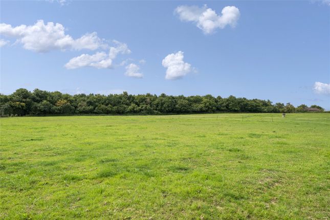 Brookside Farm and Well Cottage,, Dagbrook Lane, West Sussex photo 4