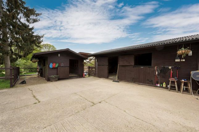 Barbarons, Plaistow Road, Dunsfold photo 4