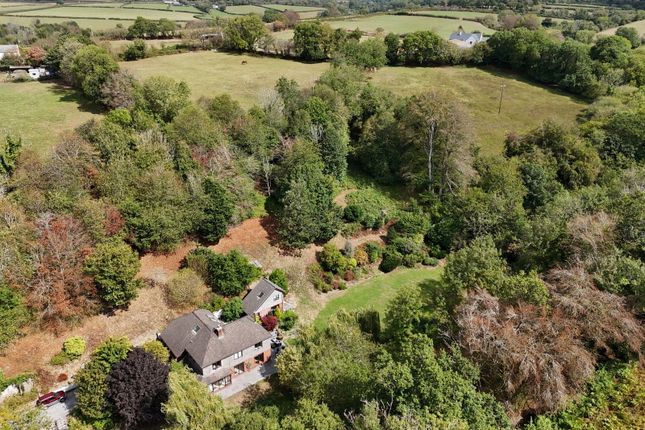 Frogs Meadow, Victoria Terrace, Yelverton photo 2