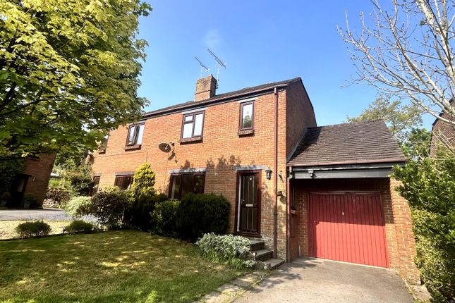 Semi-detached house to rent in Butt Farm Close, Winterbourne Abbas, Dorchester