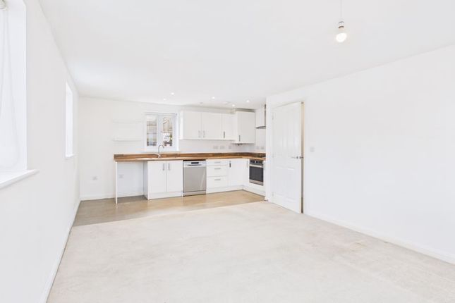 Open Kitchen/Living