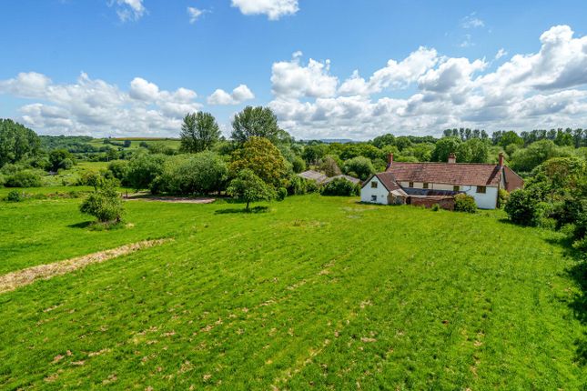 Thumbnail Land for sale in Bradninch, Exeter