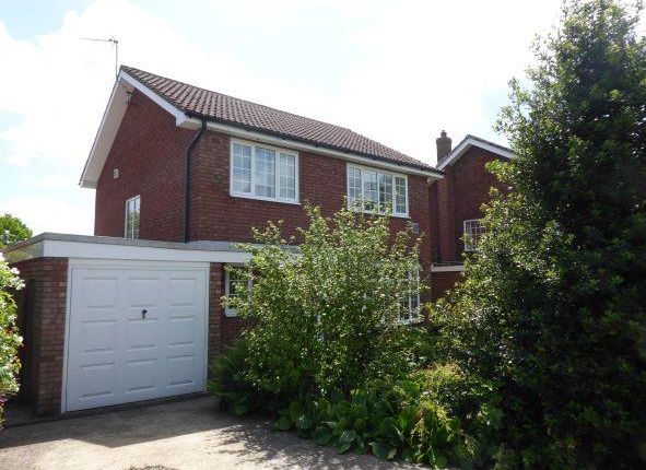 Thumbnail Detached house for sale in Beech Close, Scruton, Northallerton