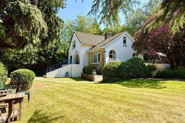 14, Ipswich Road, Westbourne photo 3