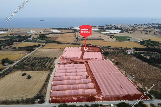 Thumbnail Land for sale in Psematismenos, Larnaca, Cyprus