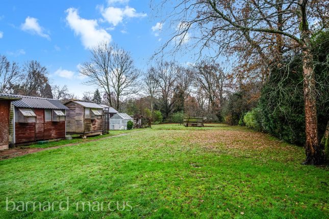 Detached bungalow for sale in Horsham Road, Beare Green, Dorking