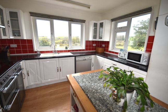Gorllwyn Uchaf, Cwmduad, Carmarthen photo 4