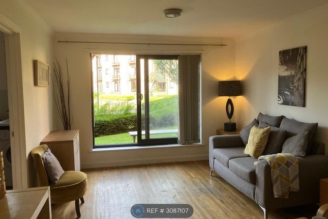 Riverview Place, Glasgow photo 2