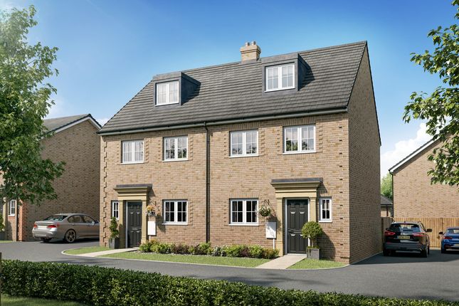 Thumbnail Semi-detached house for sale in "The Aslin 3" at Meadowsweet Way, Ely