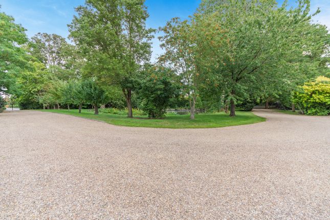 In And Out Driveway