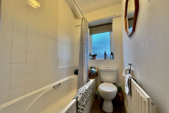 Image showcasing What Does 