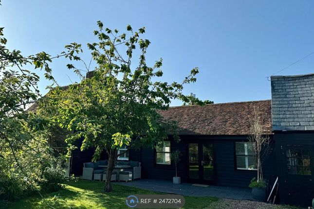 Side View From Garden